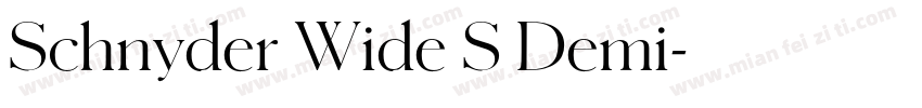 Schnyder Wide S Demi字体转换